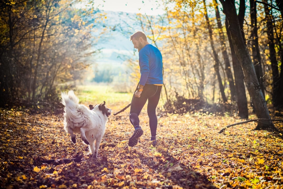 homme qui promène son chien en forêt